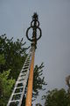 Maibaum stellen 58601721