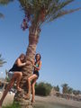 Urlaub Hurghada 2009 65520347