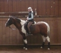 reiten 33906414