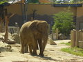 Tierpark Schönnbrunn in Wien 06.08. 25307731