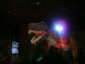 Dino-Austellung in Wels 10.01.2010! 70785802