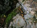 wanderung auf den aberfeldkogel 14312901