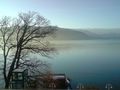 Seewalchen am Attersee 49342233