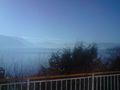 Seewalchen am Attersee 49342248