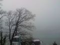 Seewalchen am Attersee 49342512