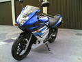 mein altes Bike 8414407