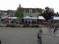 Maibaum aufstellen 19065494