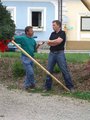 Maibaum aufstellen 19065620