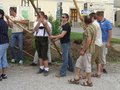 Maibaum aufstellen 19065654