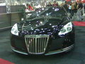 Luxus Motor show 15342459