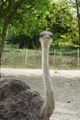 Linzer-Tierpark 58458874