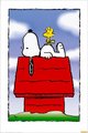 Snoopy 20791955