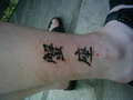 tatoo 27044325