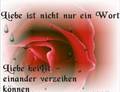 Weisheiten der Liebe 5883123