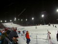 Nightrace Schladming 22. Jän. 2008 32847543