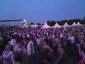 Donauinselfest 2008 44833660