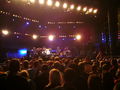 Donauinselfest 2008 44833664