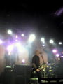 rise against 53523363