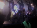 rise against 53523366