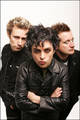 GrEeN dAy 4884393