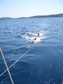 Segeln 2007 21880926