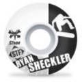 ryan sheckler 6108167