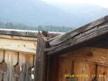 ??? Wolfgangsee 2009 ??? 64436412