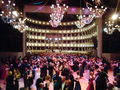 Opernball 2009 54498850