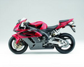 Fireblade 2006 9219487