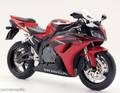 Fireblade 2006 9219731