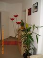 Unsere 1. gemeinsame Wohnung 71651628