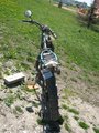 Meine Mopeds 19690945