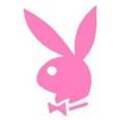 playboy bunny 6253749
