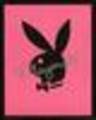 playboy bunny 6253755