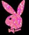 playboy bunny 6253786