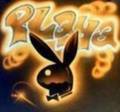 playboy bunny 6318257