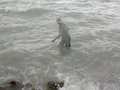 Urlaub in Ungarn! 14351649