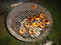 grillcount 2007 18199794