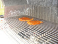 grillcount 2007 18199875