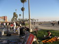 Venice Beach/Muscle Beach 16795702