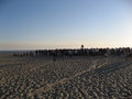 Venice Beach/Muscle Beach 16795704