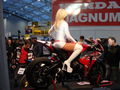 Motorrad Messe 2009 in Linz 52619371