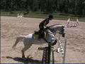 Reiten 23295622