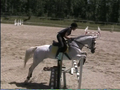 Reiten 23295625