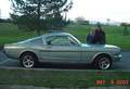 mustang 4928760