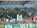 SK RAPID WIEN : ried 59531364