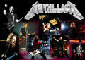 Metallica_M - Fotoalbum