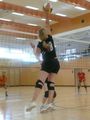 Volleyball Damen 47176770