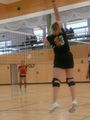 Volleyball Damen 47176786