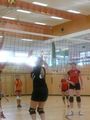 Volleyball Damen 47176788